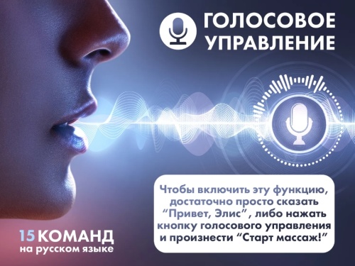 Массажное кресло FUJIMO FLEXOR Bussines Edition Brown